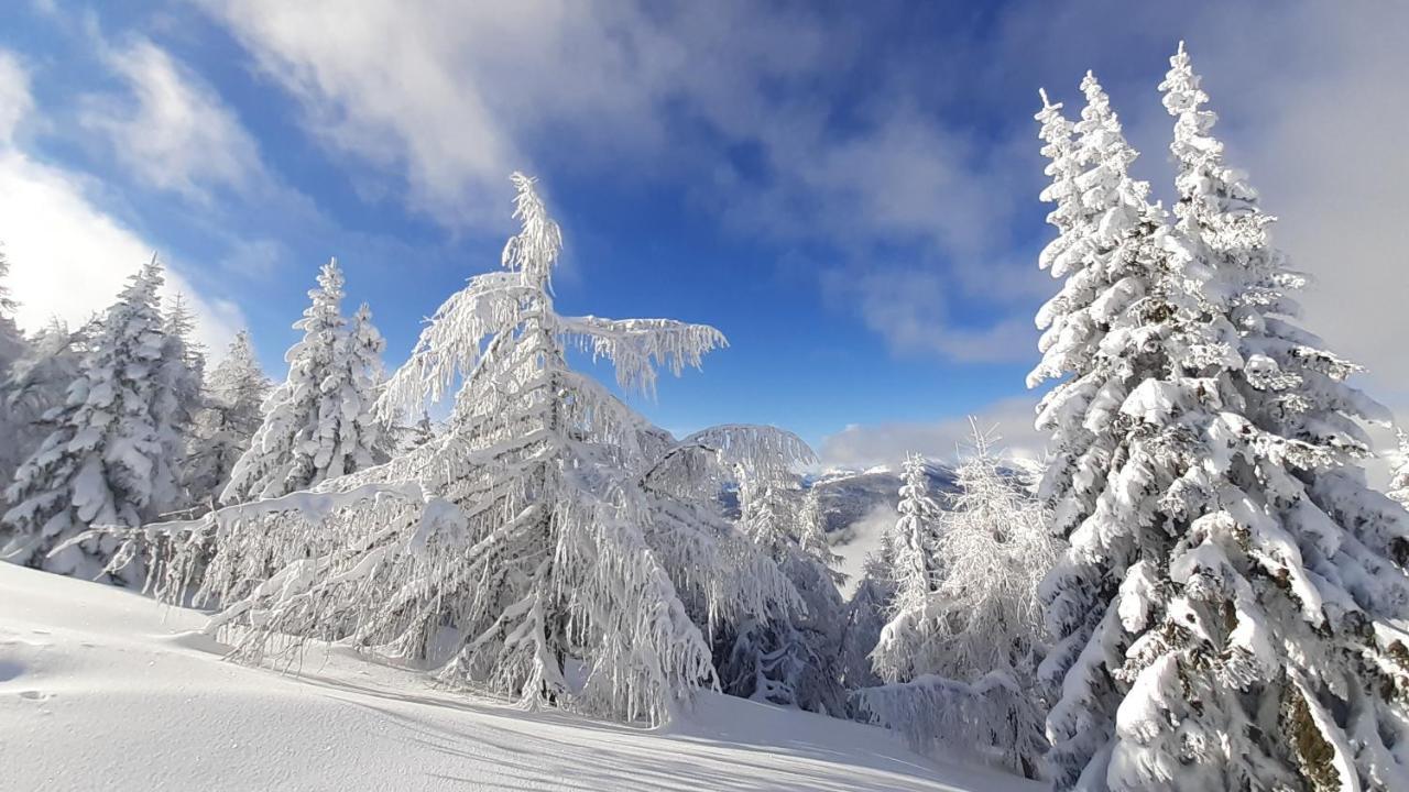 Chalet Verdino บาด ไคลน์เคิร์ชไฮม์ ภายนอก รูปภาพ